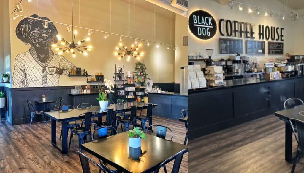 Black Dog Coffee House - The Top Best Coffee Shops in Billings, Montana